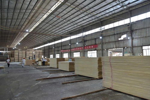 榕江 木材加工业助推当地经济发展